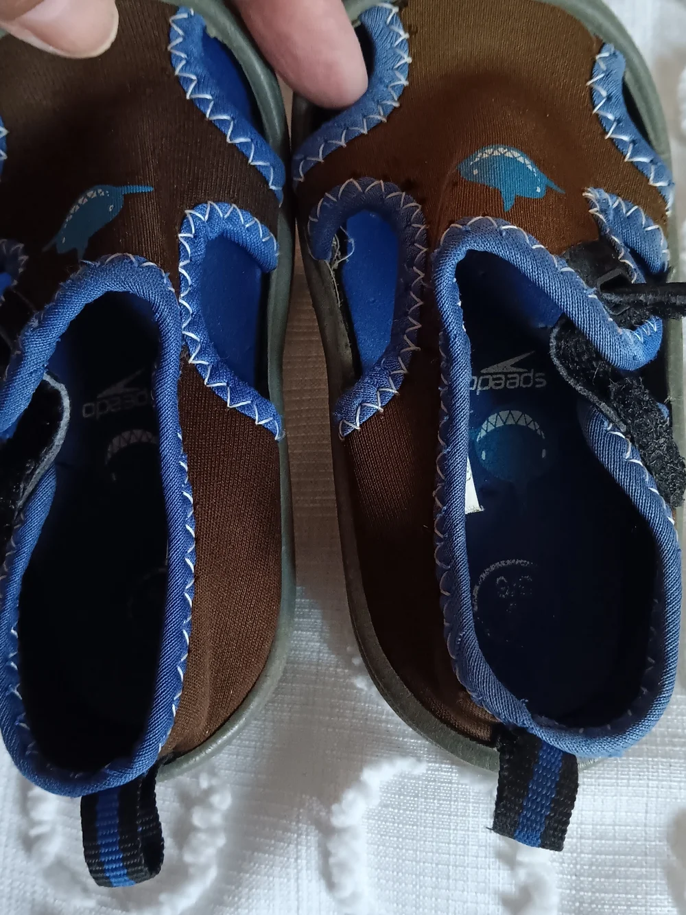 Kids Brown and Blue Shark Slip-On Sandals